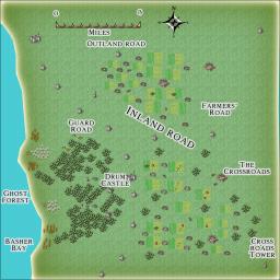 Ghost Forest Environs